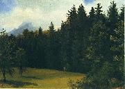 Albert Bierstadt Greater San Francisco Area (Mountain Glade and Mountain Resort) oil painting